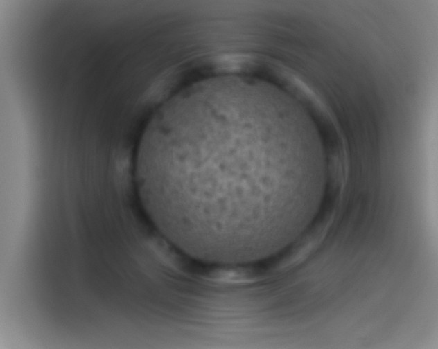 X0000114080557200910131238