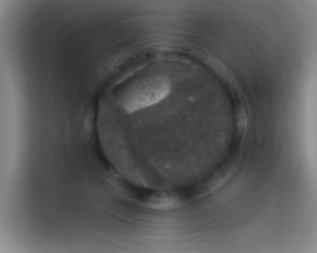 X0000114080559200910131238