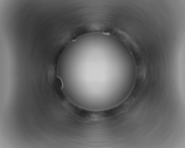 X0000114080560200910131239