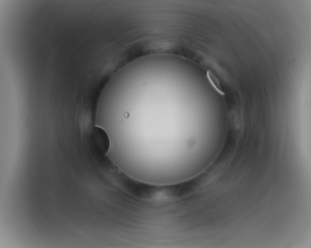 X0000114080564200910131239