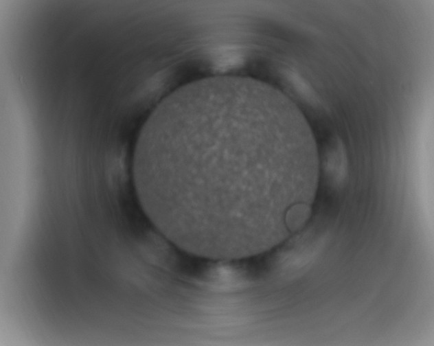 X0000114080565200910131239