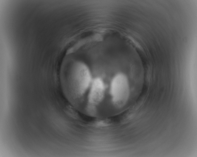 X0000114080569200910131239