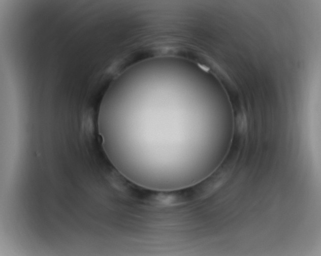 X0000114080570200910131239