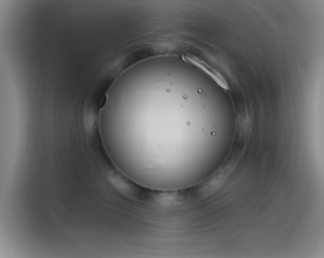 X0000114080574200910131239