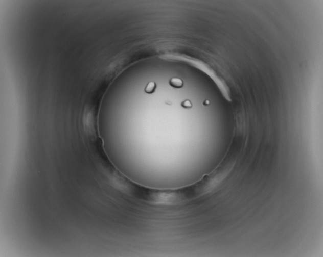 X0000114080575200910131239