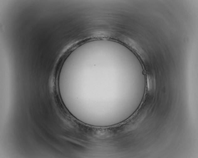 X0000114080579200910131238