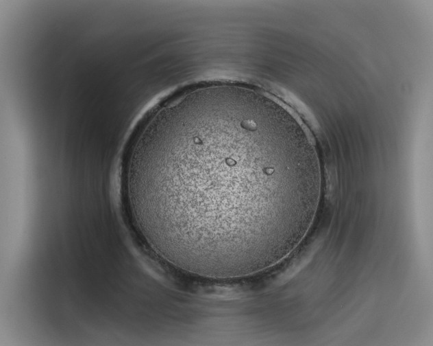 X0000114080580200910131238