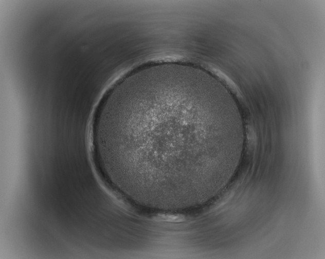 X0000114080582200910131238