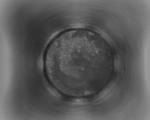 X0000114080584200910131238