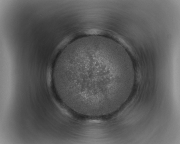 X0000114080586200910131238