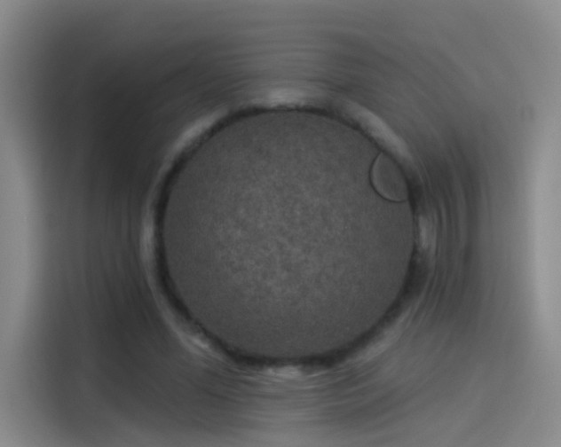 X0000114080588200910131238