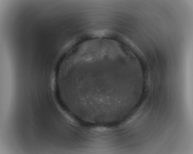 X0000114080590200910131238