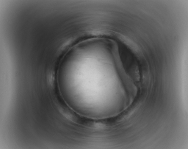 X0000114080592200910131238