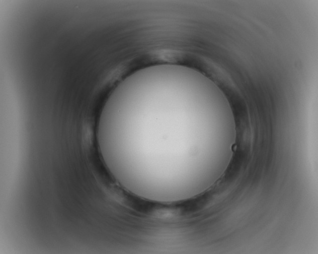 X0000114080595200910131238