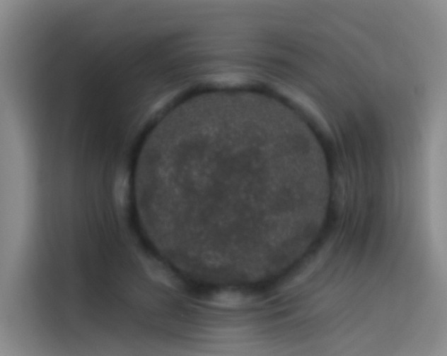 X0000114080596200910131238