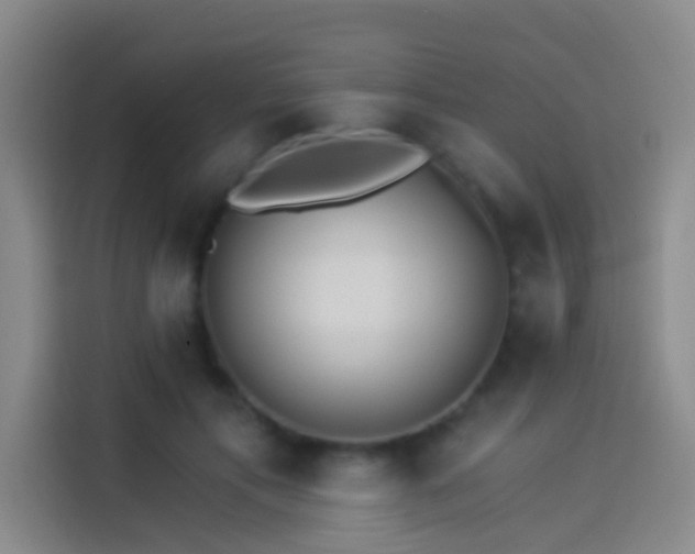 X0000114080597200910131238