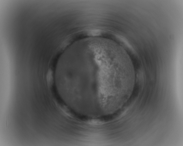 X0000114080598200910131238