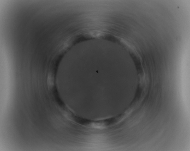 X0000114080606200910131238