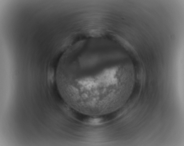 X0000114080610200910131238