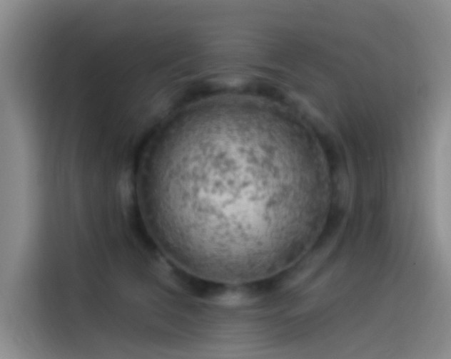 X0000114080612200910131238