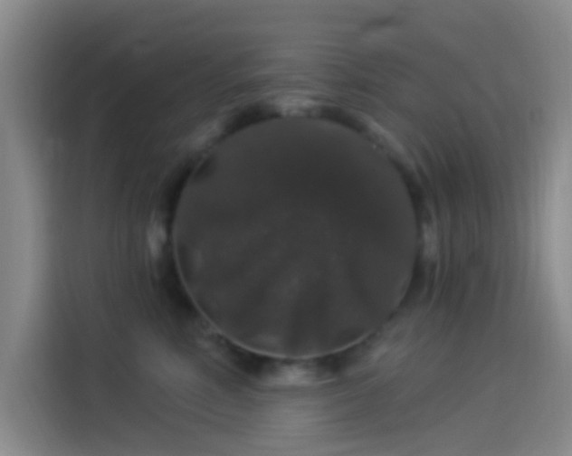 X0000114080618200910131238