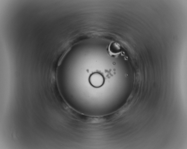 X0000114080621200910131238