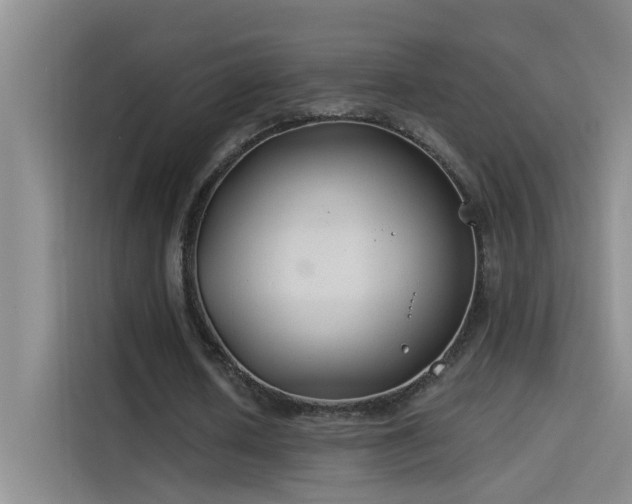 X0000114080626200910131237