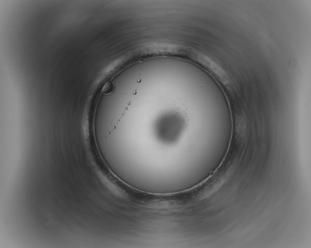 X0000114080629200910131237