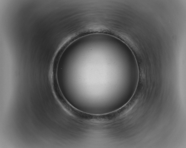 X0000114080630200910131237