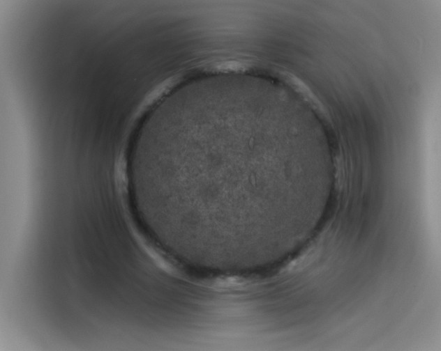 X0000114080634200910131237