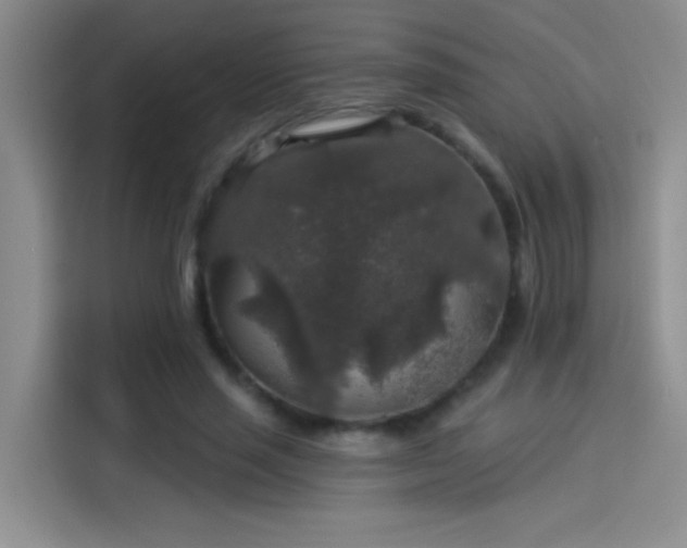 X0000114080637200910131237