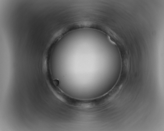 X0000114080638200910131237