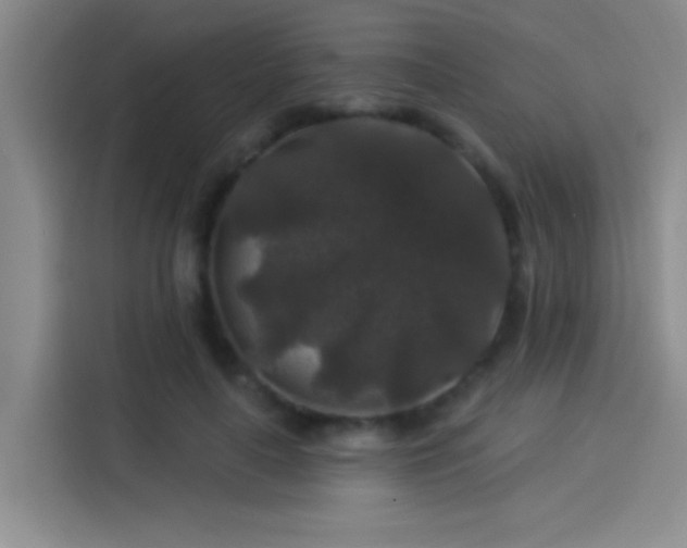 X0000114080643200910131237