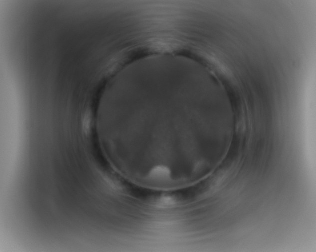 X0000114080647200910131237