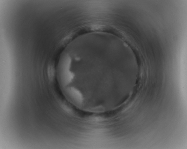 X0000114080648200910131237