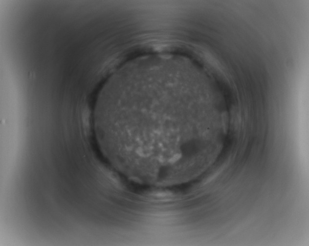 X0000114080650200910131237