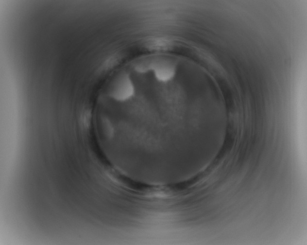 X0000114080652200910131237