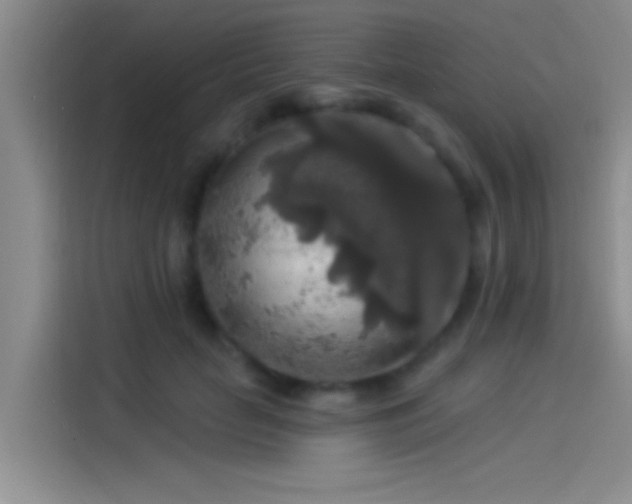 X0000114080653200910131237