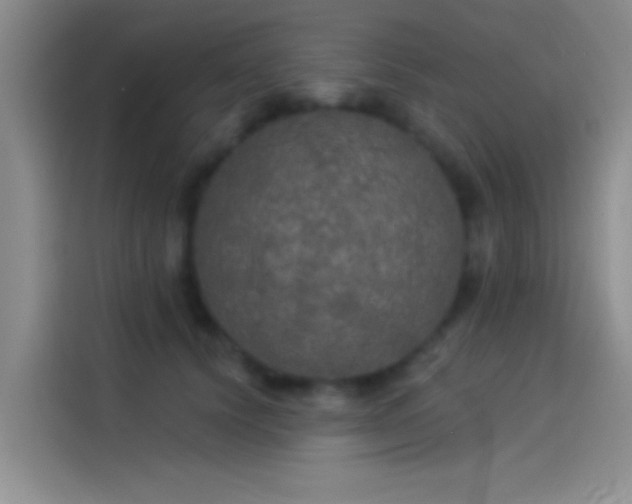 X0000114080656200910131237