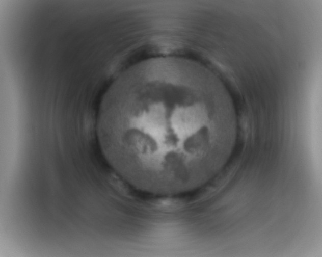 X0000114080657200910131237