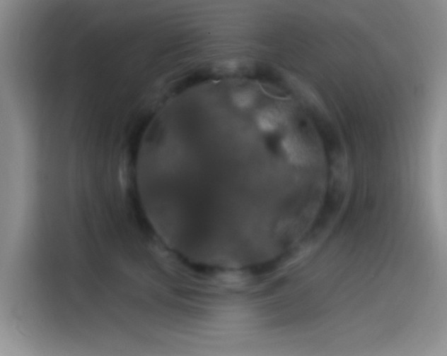 X0000114080659200910131237