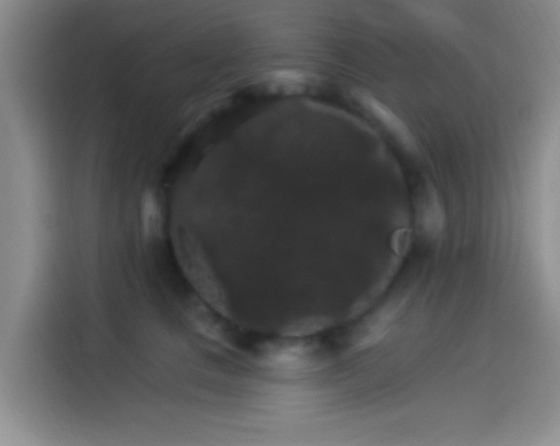 X0000114080661200910131237