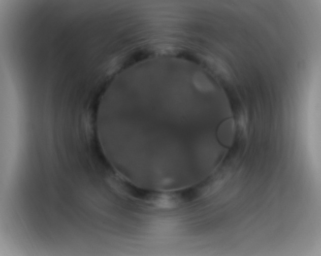 X0000114080663200910131237