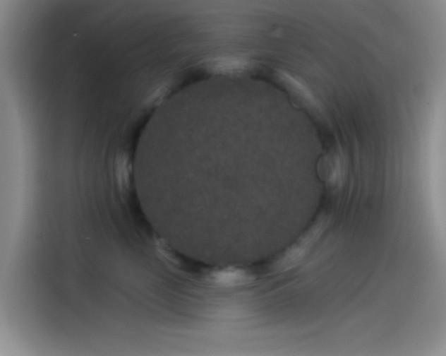 X0000114080669200910131237