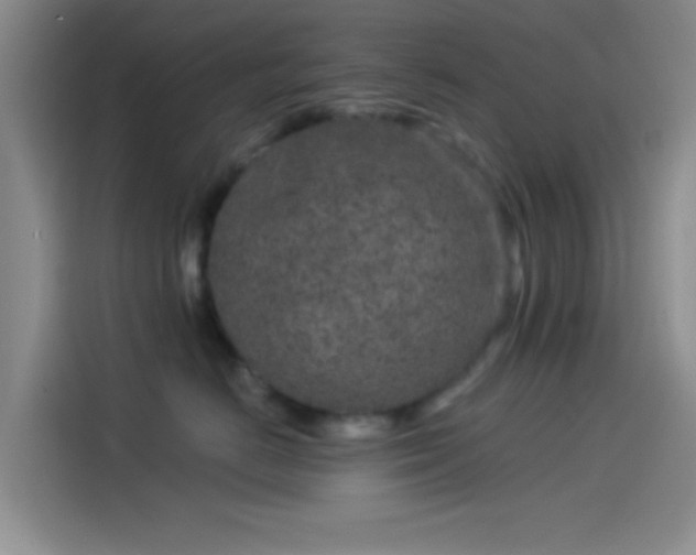 X0000114080670200910131237