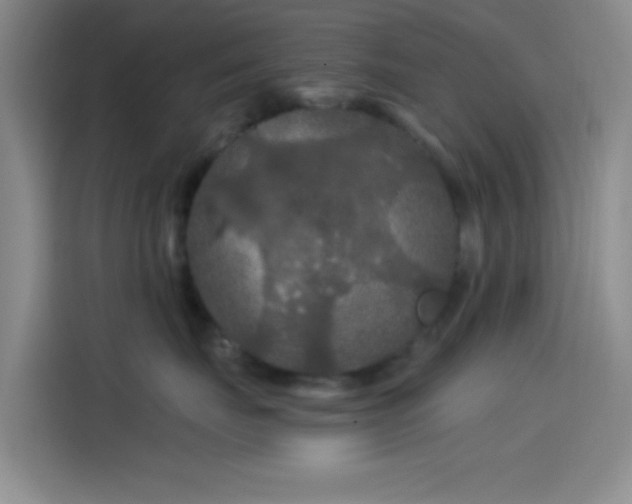 X0000114080671200910131237