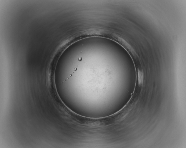 X0000114080675200910131237