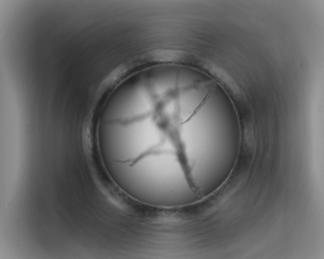 X0000114080682200910131237