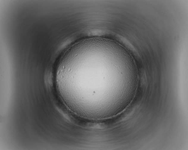 X0000114080683200910131237