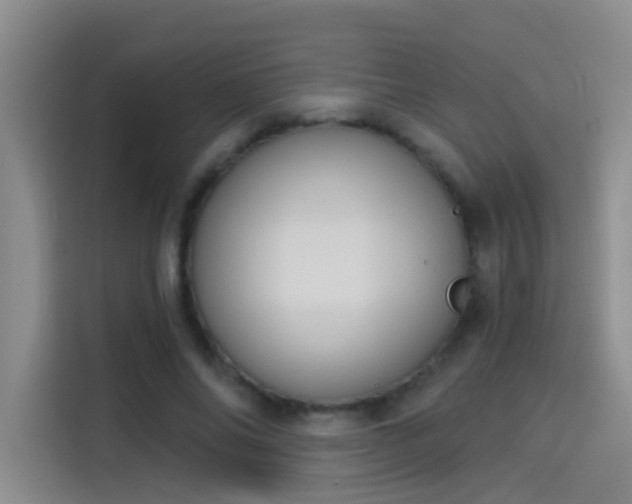 X0000114080686200910131237